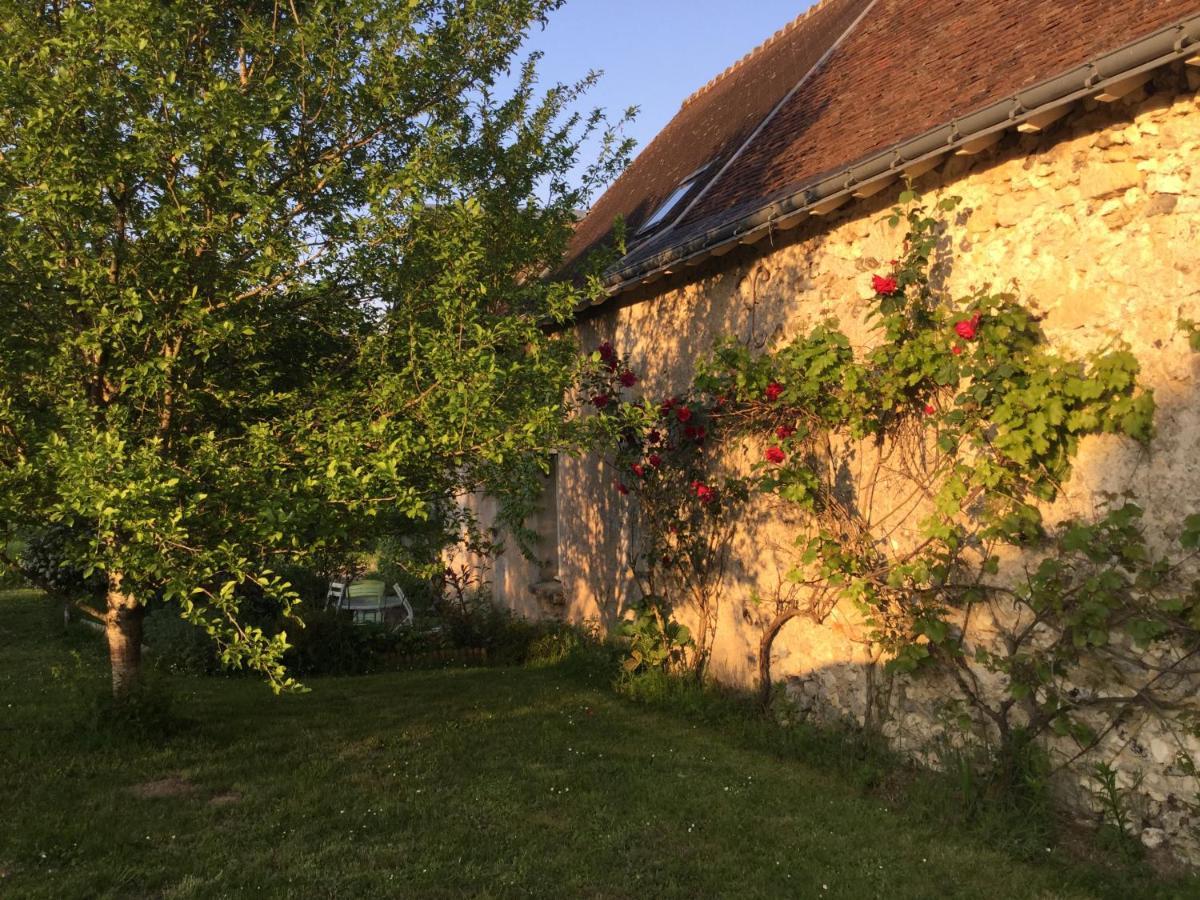 Chambres D'Hotes La Ferme Du Grand Launay Semblançay Zewnętrze zdjęcie