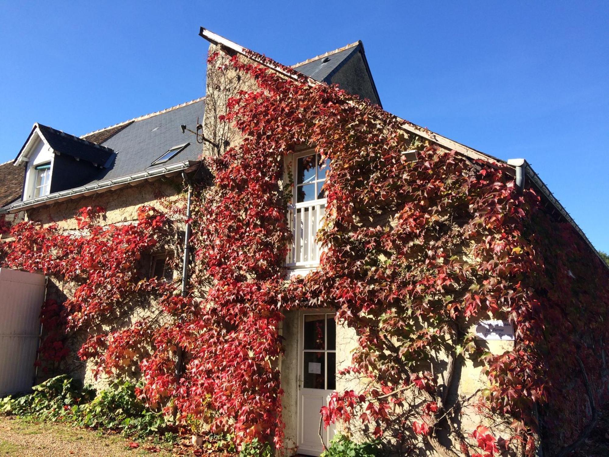 Chambres D'Hotes La Ferme Du Grand Launay Semblançay Zewnętrze zdjęcie